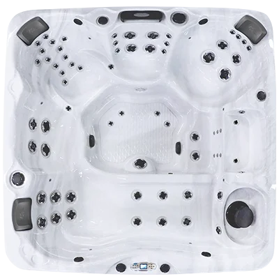 Avalon EC-867L hot tubs for sale in Largo